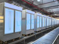 Réfrigérateur commercial vitré, congélateur vertical à 2 portes avec auvent, pour boissons, certifié ETL, 41,88 pi³