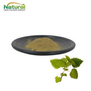 Produk organik QYHerb kualitas tinggi ekstrak nettl harga grosir ekstrak akar jelatang Harga Murah ekstrak jelatang 4:1 10:1 untuk dijual - Product Image 1