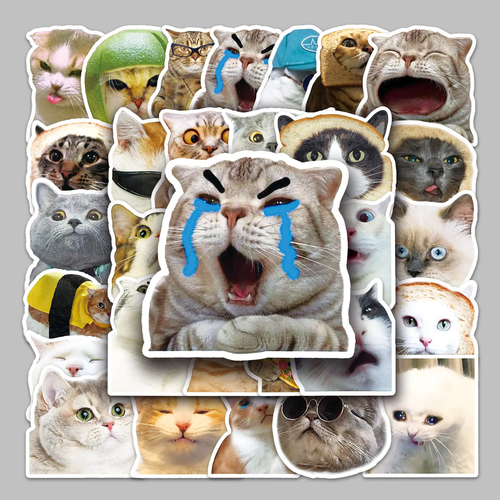 Personalizado 50 lindo gato memes niños creativo divertido DIY portátil teléfono caso Libro mayor pegatina impermeable