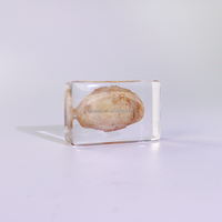 Nature Real Cultivated Mushroom in Resin Spécimen Embedded Exploration Students Education Kit