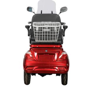 Tricycle à deux places TVS avec volant, motos électriques, adapté aux personnes handicapées, deux roues avant - Product Image 3