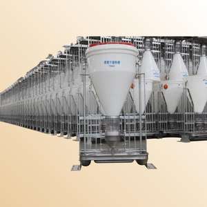 Comedero Automático para Cerdos de la Marca Hengyin, de Buena Calidad, Nuevo, de Plástico y Acero, para Alimentación Húmeda y Seca, Blanco, 50 kg, 1 Año de Garantía - Product Image 1