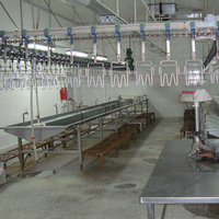 Petite et grande machine de ligne d'abattage de poulets de caille et de poulets de chair avec moteur et composants de noyau de roulement équipement d'abattage de volaille