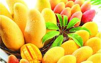 Warmtepomp commerciële traydroger voor fruit- en groentedroging, hoge productiviteit, energiebesparend, roestvrij staal