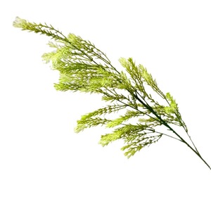 Plante Artificielle Secret Garden, Branche Unique, Fleurs en Soie Plastique, Décoration Mariage et Maison, Vert Blanc Bleu, Style Rustique - Product Image 5