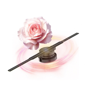 42cm 3D Hologram chiếu LED hoạt hình thiết bị quảng cáo thẻ SD ứng dụng điện thoại thông minh hỗ trợ PC có thể hoạt động để sử dụng trong nhà OEM - Product Image 1