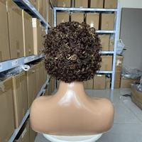 Perruque Bob Courte Ondulée Multifonctionnelle avec Dentelle Frontale 13x4 Haute Densité pour Coiffure Pixie