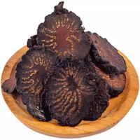 Tranches de Rou Cong Rong de haute qualité, produit à base de plantes chinoises, vente chaude, herbes chinoises, tranches de Cistanche séchées, aliments santé, épices diététiques