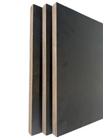 Planches de contreplaqué de première qualité en bois d'eucalyptus, style design moderne, écologiques, résistantes à l'humidité, placage noir
