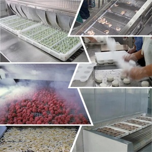 Túnel de Congelación Rápida IQF Personalizado de Fábrica para Empanadillas de Camarones Frescos Congelados en Venta - Product Image 6