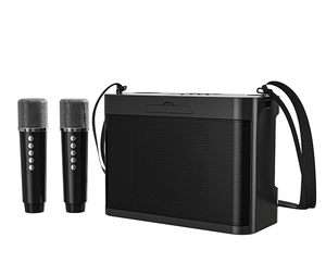ลำโพงคาราโอเกะบลูทูธไฮไฟแบบพกพาพร้อมไมโครโฟนไร้สาย YS219 - Product Image 2