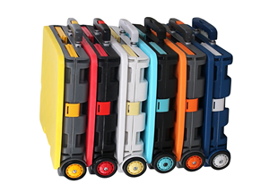 Carrito <span class=keywords><strong>de</strong></span> Compras Plegable <span class=keywords><strong>de</strong></span> Plástico Resistente para Supermercado, 2 Ruedas, Personalizable, OEM, Contenedor con Ruedas, Capacidad <span class=keywords><strong>de</strong></span> 100 kg, Carrito Plegable Telescópico - Product Image 2