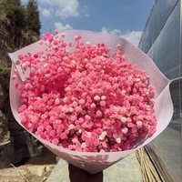 Bunga Gypsophila Kering Alami Berkualitas Tinggi Grosir 400 Gr Hadiah Hari Valentine Natal Dekorasi Rumah