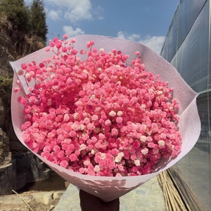 Flores Secas de Gypsophila Naturales Preservadas de Alta Calidad al por Mayor, 400 g, Regalo para el Día de San Valentín, Navidad, Decoración del Hogar - Product Image 1