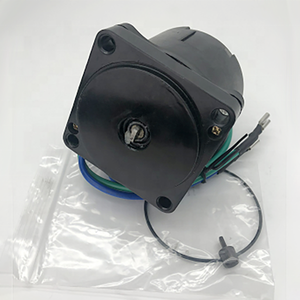 Motore di rivestimento inclinabile per Evinrude PT303NM, PT607NM per <span class=keywords><strong>ARCO</strong></span> 6241 per EMP 4-6780 46780 - Product Image 2