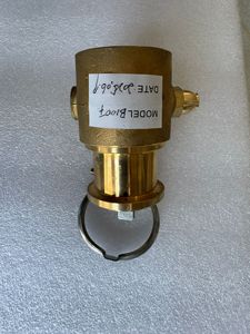 Pilote de moteur à courant continu de type italien 12v en acier inoxydable <span class=keywords><strong>Booster</strong></span> à palettes haute pression Pompe à eau potable RO - Product Image 4