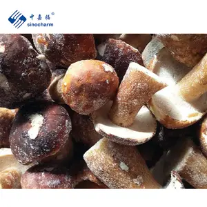 Sino charm BRC genehmigt einen abgestuften chinesischen Hersteller Boletus Edulis Großhandels preis Frisch gefrorener Stein pilz Edulis