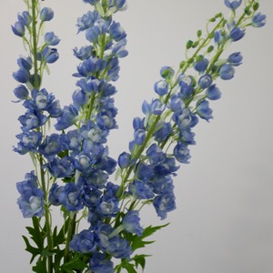 H-661 all'ingrosso di seta lungo ramo Delphinium stelo <span class=keywords><strong>fiori</strong></span> <span class=keywords><strong>viola</strong></span> blu floreale disposizione di nozze - Product Image 3