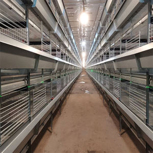 <span class=keywords><strong>Kenya</strong></span>'da Ev ve Çiftlik Kullanımı İçin 90-200 Kapasiteli Yeni Demir Otomasyonlu H Tipi Tavuk ve Bıldırcın Kafesi QM Marka 1 Yıl Garantili - Product Image 1