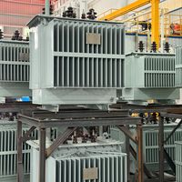 Transformateur d'huile triphasé S11 haute sécurité 700 kVA à bobine en aluminium pour parc logistique, longue durée de vie, vente en gros directe usine