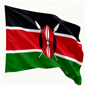 بيع بالجملة: * 90 علم مصري ، أعلام مخصصة من مختلف البلدان ، أعلام ترويجية للشركة ، أعلام حدث رياضي - Product Image 3