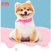 Coussin personnalisé en forme de chien ou de chat, oreiller pour la décoration de la maison, du bureau ou de la maison, échantillon gratuit