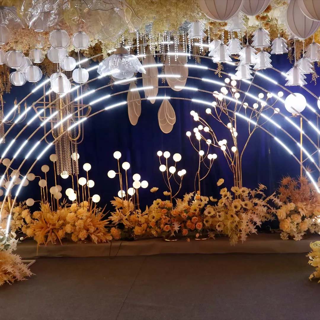 Fonctions arc de mariage, cadre photo 2.5m, phares météores, douche, pluie