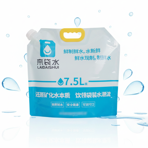 Custom Printed 5L 7.5L 10Liter 1 Gallon Liquid <b>Drink</b> Beer Beverage <b>Stand</b> up Spout Pouch Water Plastic Bag - Product Image 1