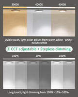 Miroir LED anti-buée 12V 5A 60W, trois couleurs, double commande tactile intelligente, variateur 2 voies, capteur capacitif