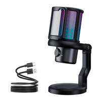 Microphone USB pour ordinateur, à condensateur, cardioïde, en plastique, pour jeux, RGB, streaming en direct, enregistrement vocal, bureau, filtre anti-pop, réduction du bruit