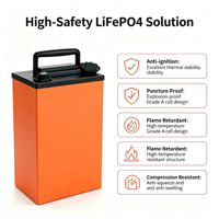 Batterie LiFePO4 haute capacité 60V 20Ah, batterie de remplacement au phosphate de fer et de lithium pour véhicules électriques
