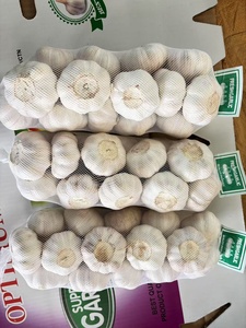 Ajo Blanco Fresco Chino, Puro o Normal, Verduras Frescas, Precio al por Mayor, Alho, Ail, Ajo, Exportado de China - Product Image 3