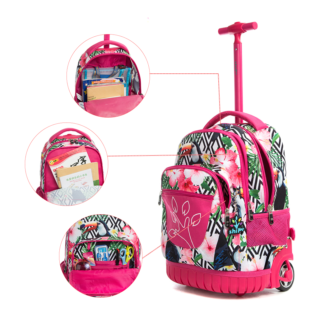 Student Trolley Bag Detachable Climbing Stairs 6-12 Years Old Children Female 1-3-5 Grade Girl Lightweight Waterproof Trolley Bag && Color : C ZJ-School bag Childrens Trolley Bag Student Trolley Bag Detachable Climbing Stairs 6-12 Years Old Children Female 1-3-5 Grade Girl Lightweight Waterproof Trolley Bag && Color : C ZJ-School bag Childrens Trolley Bag