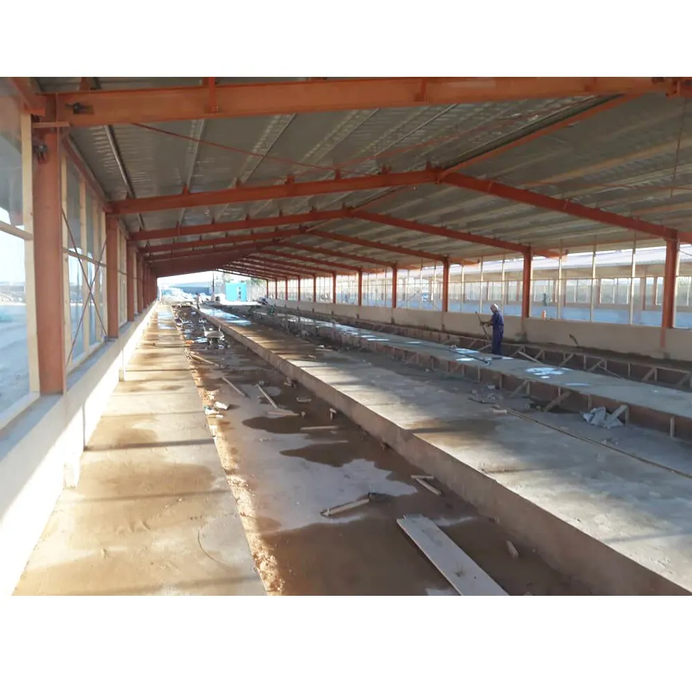 Pakistan controllo delle vendite capannone allevamento di pollame allevamento di polli costo di costruzione