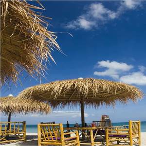 Paraguas de Palma de paja sintética Hdpe impermeable de alta calidad Fabricantes Techo de paja - Product Image 2