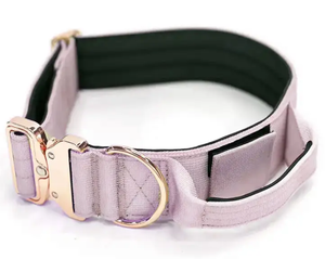 Nueva llegada al aire libre pesado personalizado perro caminando corriendo Paracord cuerda <span class=keywords><strong>Collar</strong></span>, personalizado 4cm 5cm <span class=keywords><strong>Collar</strong></span> de perro con Airtag bolsillo de lujo - Product Image 5
