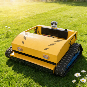 免费送货 100% 遥控卷轴式割草机 花园履带式割草机 汽油/燃气割草机 - Product Image 2