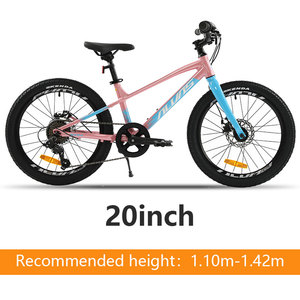 Alvas Beta 20 Nhôm Hợp Kim Trẻ Em Leo Núi Xe Đạp Nội Bộ Định Tuyến Cơ Khí Đĩa Phanh Nhanh Chóng Phát Hành Wheelset MTB - Product Image 5