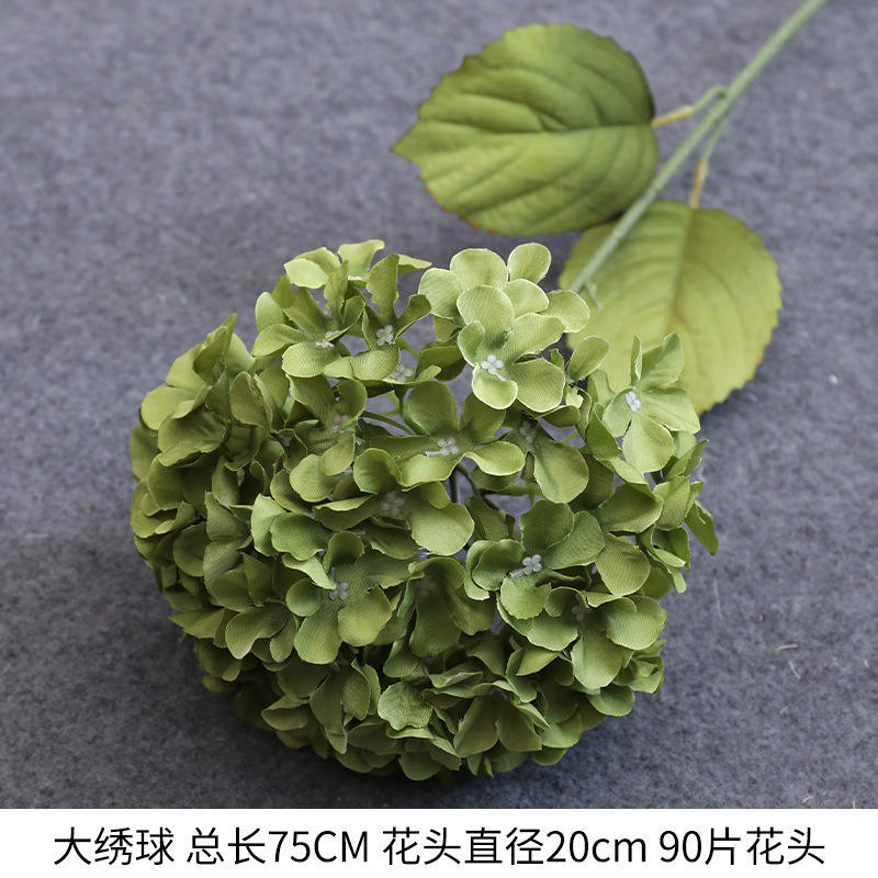 ไฮเดรนเยียขนาดใหญ่เดียว-สีเขียว