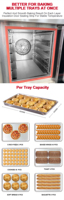 Fourniture de nouveaux produits Fournisseur doré Four à convection debout à gaz 80l 120l pour la cuisson des gâteaux aux Philippines