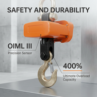 Balance de grue industrielle en alliage d'aluminium résistant à la corrosion, revêtement industriel, 10t, balance numérique suspendue légère, marine/port, OEM CE