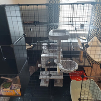 MidWest Homes for Pets Parc de jeu pliable de luxe classique pour chat, en acier, avec plateau amovible