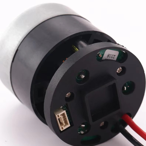Motor de masajeador CC sin escobillas miniatura personalizable Faradyi 45, herramienta eléctrica, motor de bomba de aire de alto par, venta al por mayor del fabricante - Product Image 1