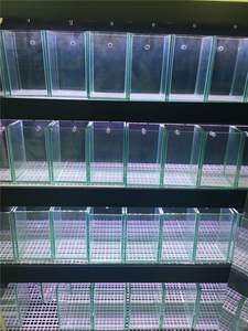 <span class=keywords><strong>Aquarium</strong></span> d'eau douce et de mer en verre Ultra transparent, personnalisé de toutes les tailles - Product Image 6