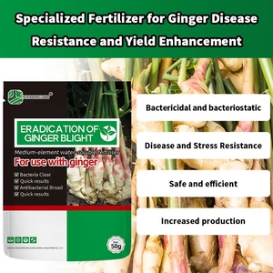 Fertilizante Especializado para la Resistencia a Enfermedades del Jengibre y Mejora del Rendimiento, Fertilizante Orgánico Soluble en Agua - Product Image 4