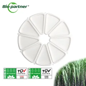 Biological Tableware Disposable Sugarcane Bagasse Oval Baking Cake Tray Plates Pizza Cake Snack Triangle Plate