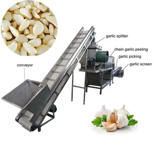 Automatische Bol Knoflook Breken Machine/Knoflook Dunschiller Huid Verwijderen Machine/Knoflook Peeling Machine