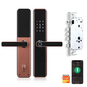 Fechadura Digital Economic Keyless Handle Fingerprint Smart Door Lock with Wifi Tuya APP