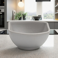 Petit bol à dessert carrée en mélamine, pierre grise, 3.1 pouces, pour usage commercial, nouveauté, livraison gratuite