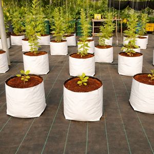 Bloque de Turba de Coco Premium |   Sustrato de Coco Orgánico para Plantas - Product Image 2